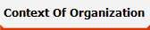 Context Of Organization